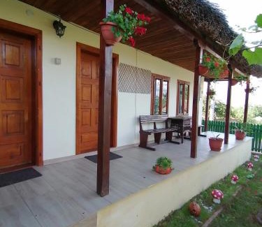 Mahmudia Casa | CASA ADI SI MARIA