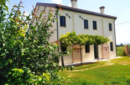 Pojana Maggiore Casa | Casa Agricola Amicizia