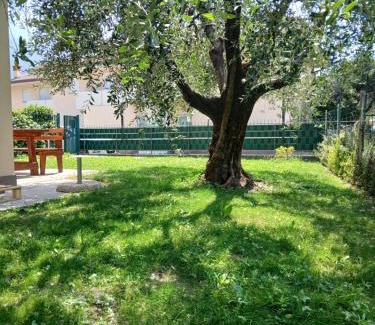 Torbole sul Garda Apartamento | Casa ai due Ulivi
