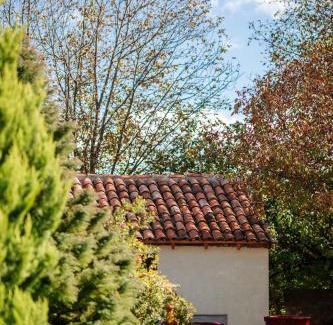Telavi Casa | casa akacia