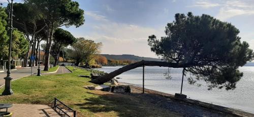 Bolsena Apartamento | Casa Al Lago