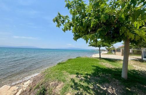 Pangaio Apartamento | Casa al Mare