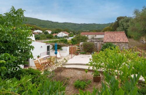 Alvados Casa | Casa Alba, desde 1926