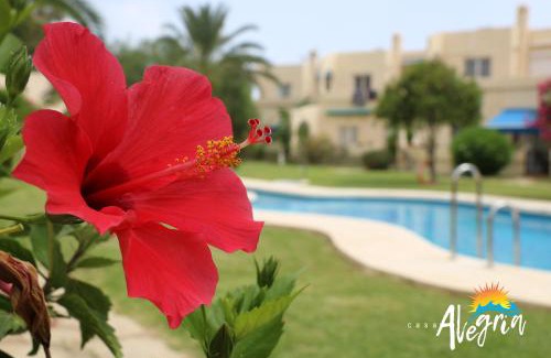 Vista de los Angeles-Rumina Apartamento | Casa Alegria Mojacar