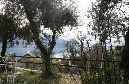 Brione sopra Minusio Apartamento | Casa Alma Grotto