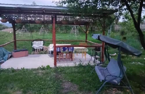 Oestii Paminteni Casa | CASA ALY