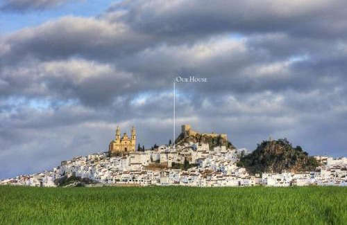 Olvera Casa | Casa Amado