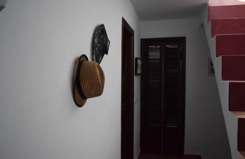 Olvera Casa | Casa Amado