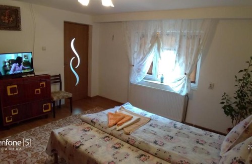 Hateg Casa | Casa Ana