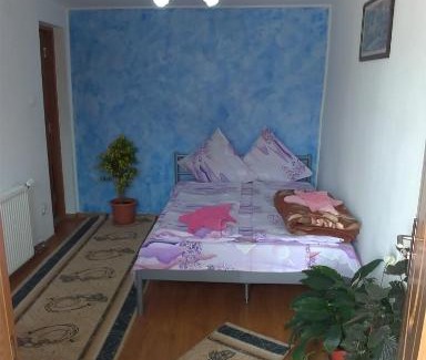 Hateg Casa | Casa Ana