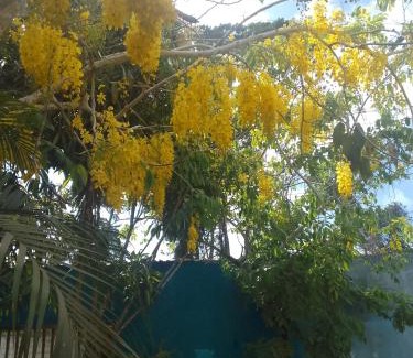 Trancoso Casa | Casa analia