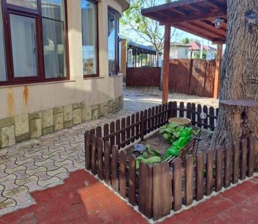 Eforie Sud Casa | Casa Ancuta