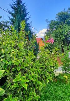 Borsa Casa | Casa Andreea și Grigore Ursu