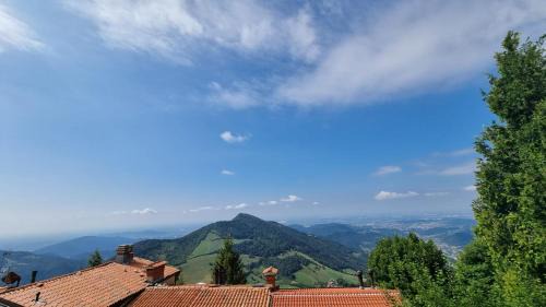 Grone Casa | Casa Angy