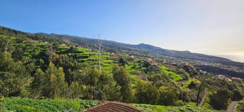 Estreito da Calheta Apartamento | Casa Anjinho