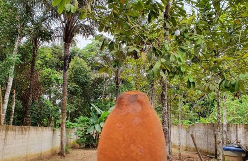 Novo Airao Casa | Casa Apuaú