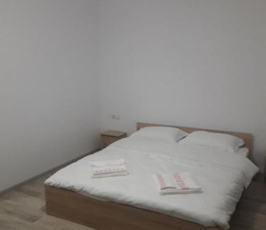 Viseu de Sus Casa | Casa Arabela