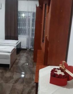 Satu Mare Apartamento | CASA ARDELEANULUI