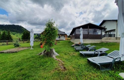 Ortoaia Casa | Casa Arini Bellevue
