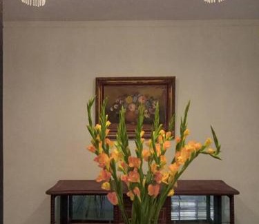 Centro Apartamento | Casa Atávica Centro de Mérida