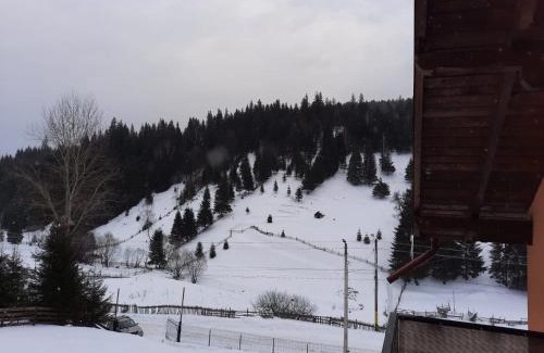 Vatra Dornei Casa | Casa Aurici Vatra Dornei