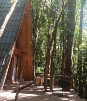 Neltume Chalet De Esquí | Casa Aurora