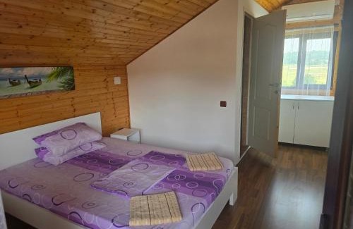 Turda Casa | Casa Baciu