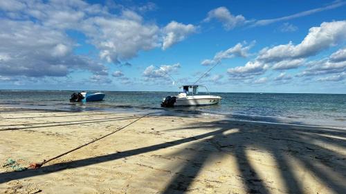Las Terrenas Hotel | Casa Ballenas3 SF