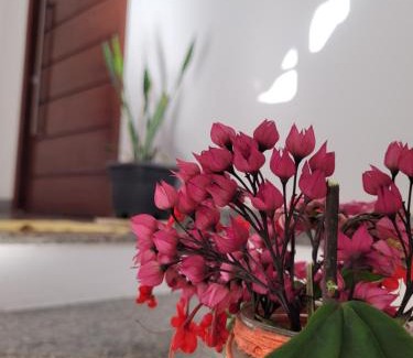 Lencois Casa | Casa Bastos