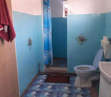 Ocna Mures Casa | Casa Beatrice