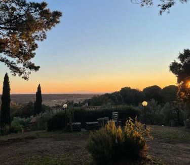 Riparbella Casa | Casa Belvedere -tranquillità tra bosco e ulivi-