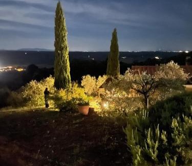 Riparbella Casa | Casa Belvedere -tranquillità tra bosco e ulivi-