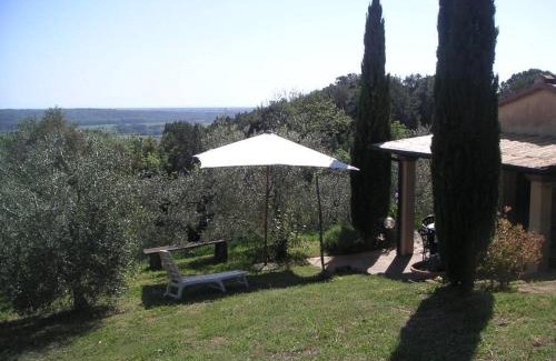 Riparbella Casa | Casa Belvedere -tranquillità tra bosco e ulivi-