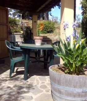 Riparbella Casa | Casa Belvedere -tranquillità tra bosco e ulivi-