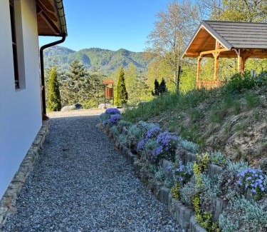Viseu de Sus Casa | Casa Berg
