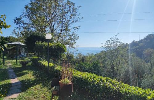Cavi Casa | Casa Besansa