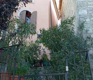 Deliceto Apartamento | Casa Bizzarro