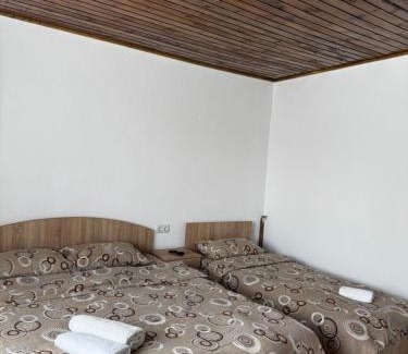 Cartisoara Casa | Casa Blendea Daniela