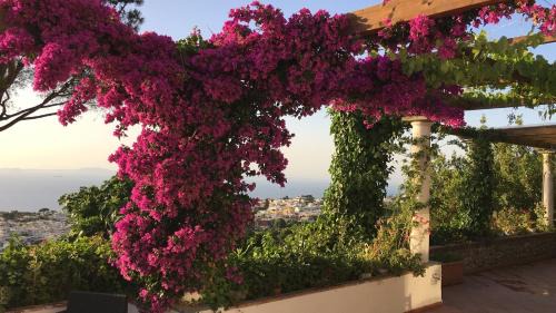 Anacapri Casa | Casa Blu