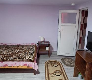 Cartisoara Casa | Casa boierului Imbri