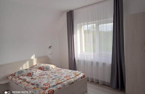 Sovata Casa | Casa Bokor