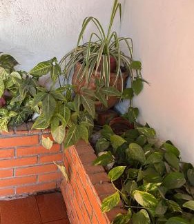 Santa Fe Casa | Casa Bonita Barrio Sur
