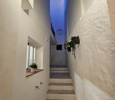 Olvera Casa | Casa Borete