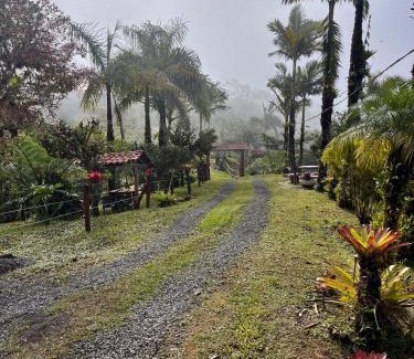 Quebrada La Gamba Casa | Casa Bromelia