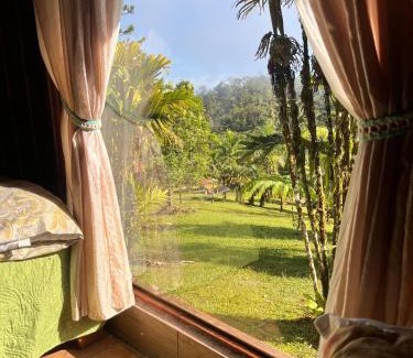 Quebrada La Gamba Casa | Casa Bromelia