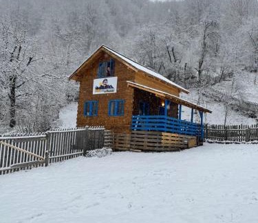 Baile Olanesti Chalet De Esquí | Casa Brună