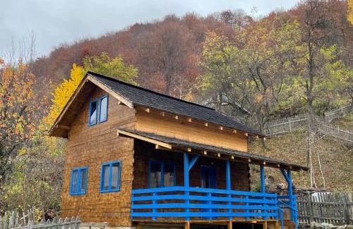 Baile Olanesti Chalet De Esquí | Casa Brună
