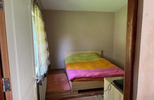Bratca Casa | Casa Bulz