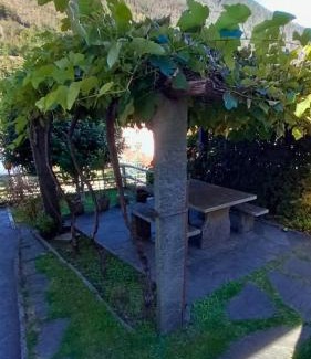 Golino Apartamento | Casa Camelia