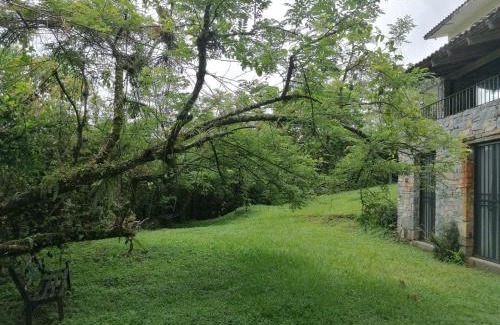 Xilitla Cama Y Desayuno | Casa Camino a las Pozas